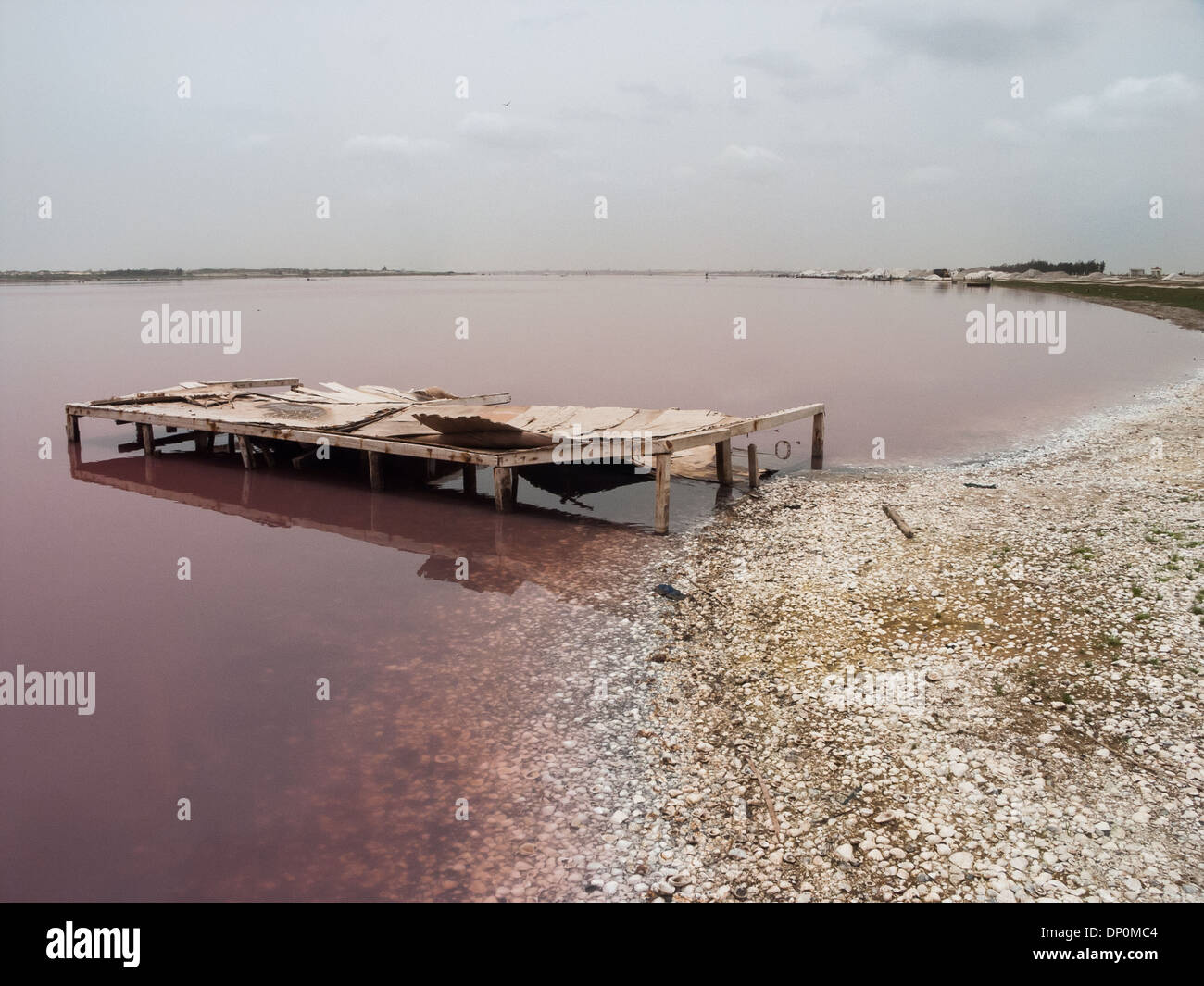 La collecte de sel ou au Lac Rose près de Dakar Retba Banque D'Images