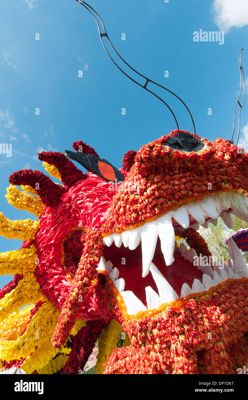 Chef de la nouvelle année du Dragon chinois décoré de flottement avec tulip chefs, Spalding Flower Parade, Lincolnshire Banque D'Images