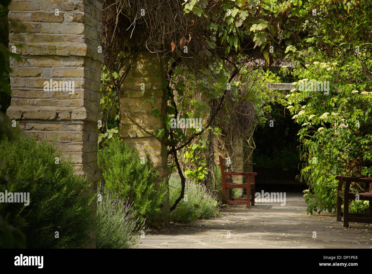 Un passage couvert avec plantes suspendues et lavande frontières à Danson Park, Kent. Banque D'Images