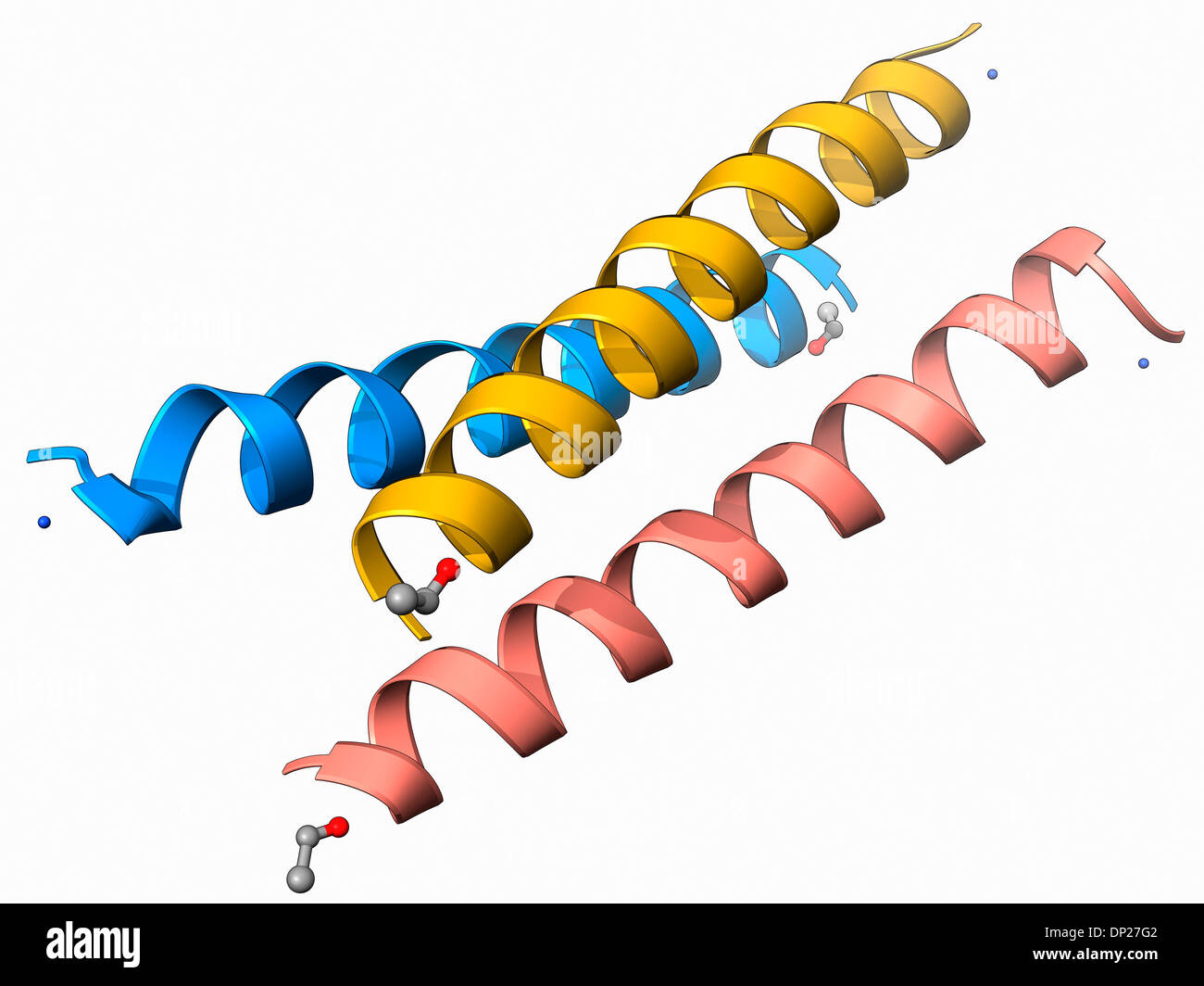 Molécule de synthèse de peptides hélicoïdaux triple Banque D'Images