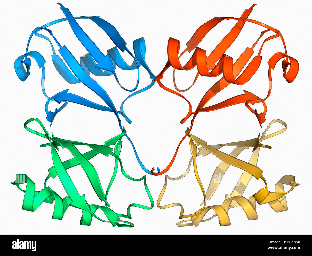 Tetraubiquitin molécule protéique Banque D'Images