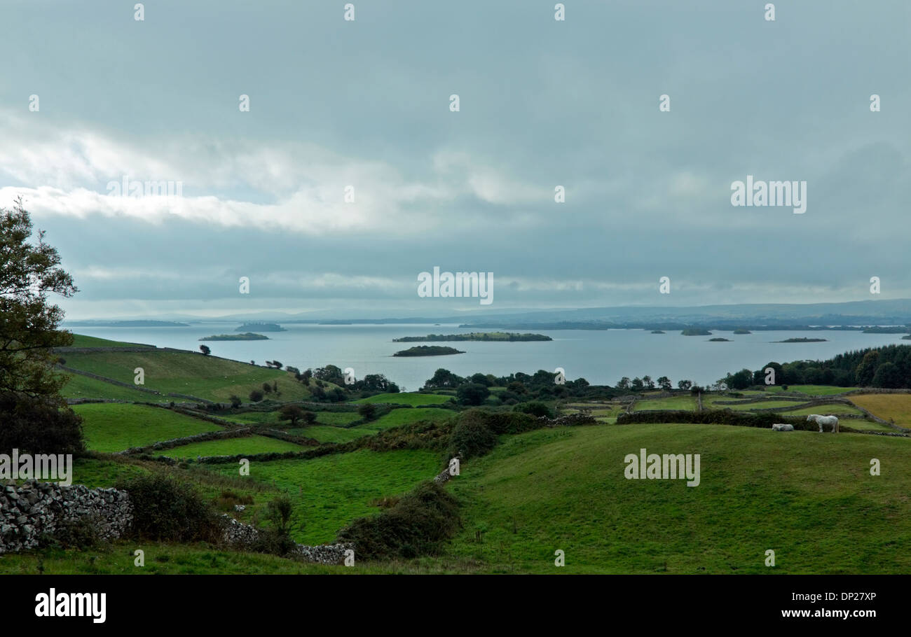 Paysage rural divisé par des murs en pierre sèche et vue sur le Lough Corrib, près de Cornamona, comté de Galway, en République d'Irlande. Banque D'Images