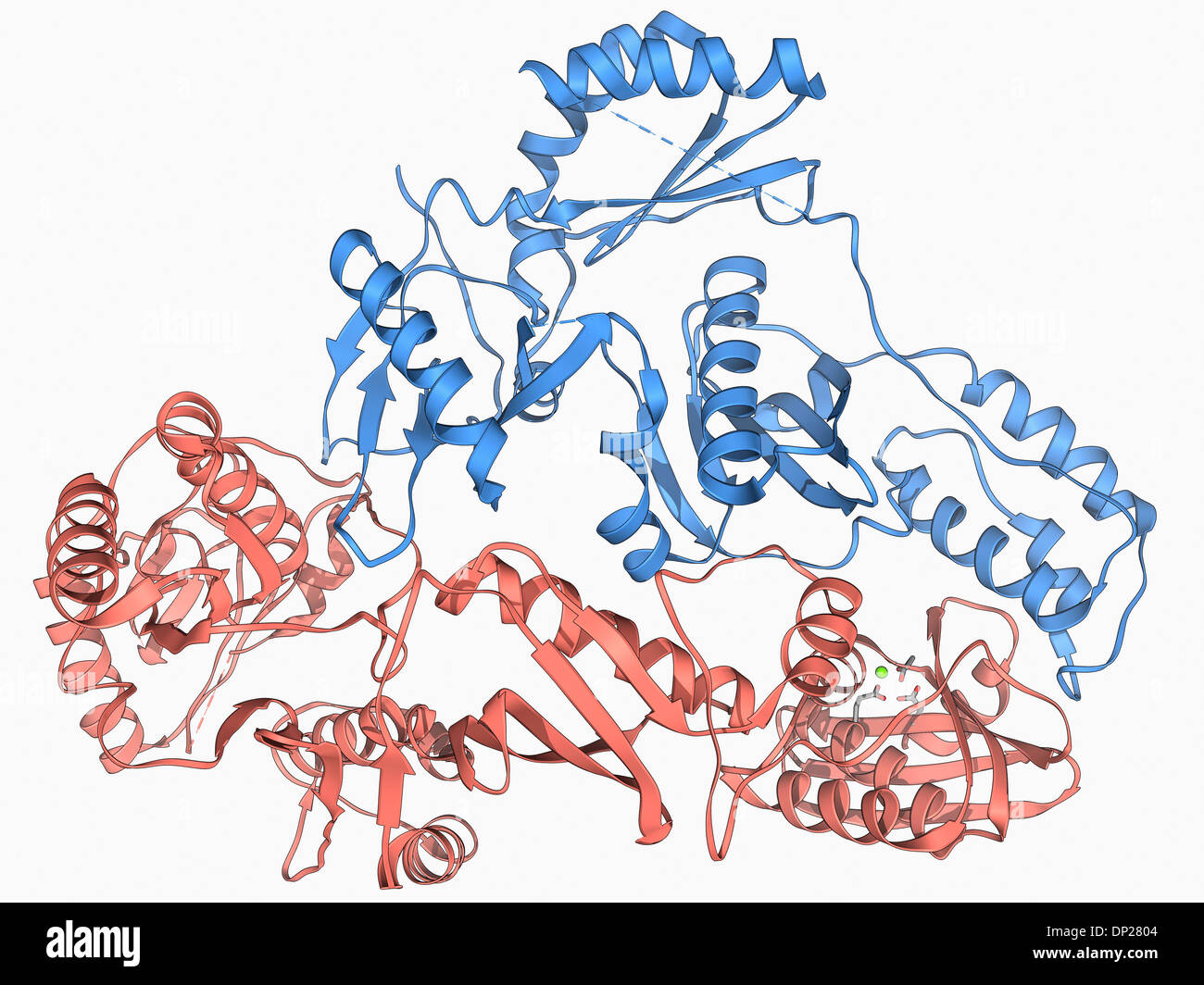 L'enzyme de la transcription inverse du VIH Banque D'Images