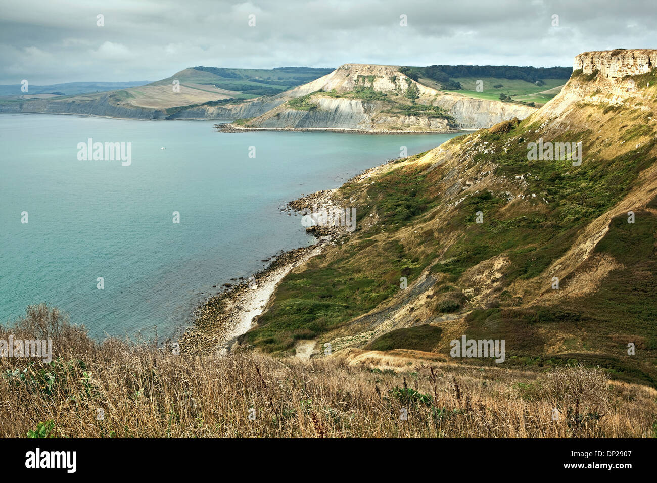 Une vue de St Aldhelm's Head dans le long de la recherche Purbeck Côte Jurassique dans le Dorset UK vers Chapman's Piscine et Point d'Egmont Banque D'Images
