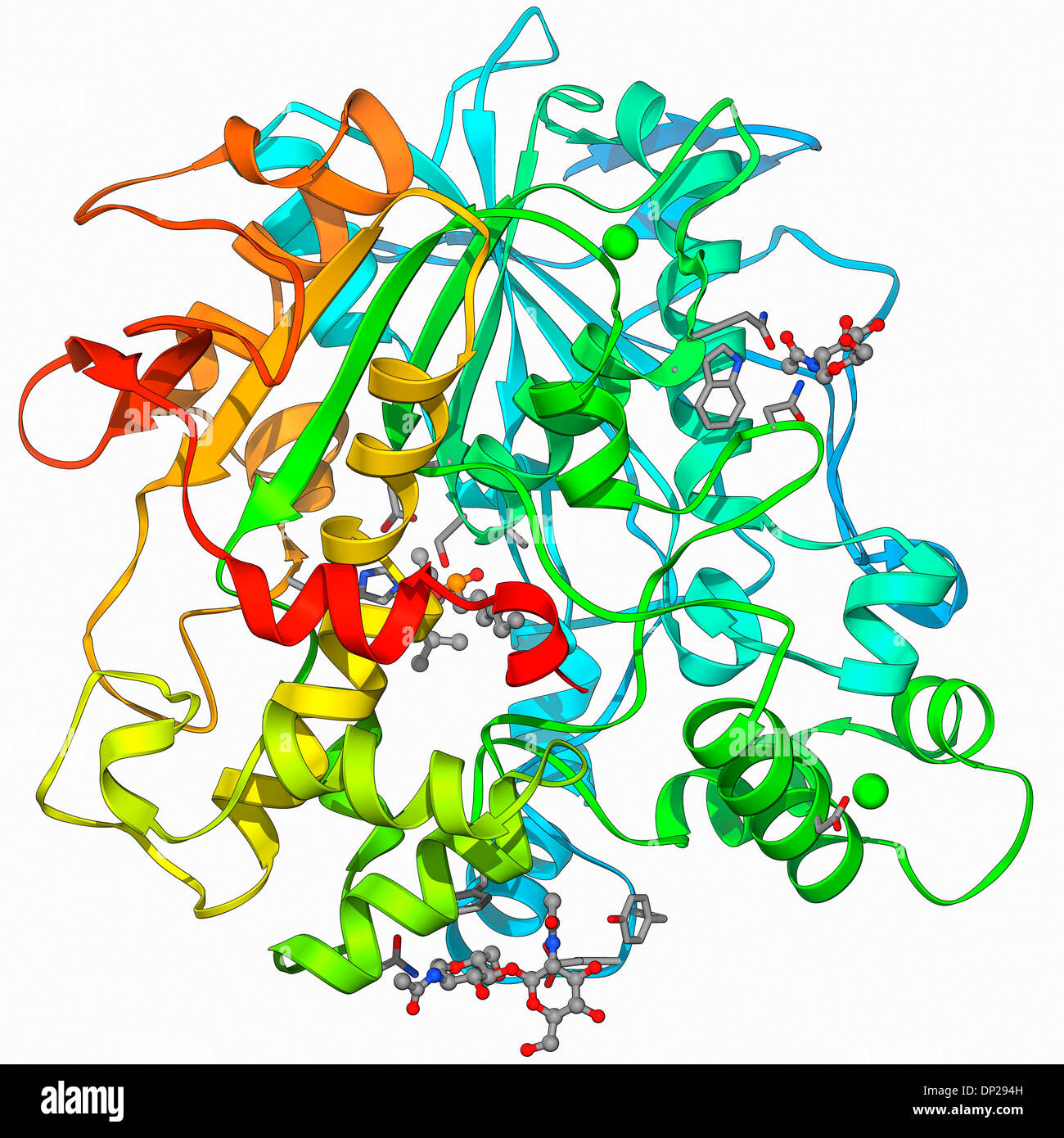 Molécule de lipase Photo Stock