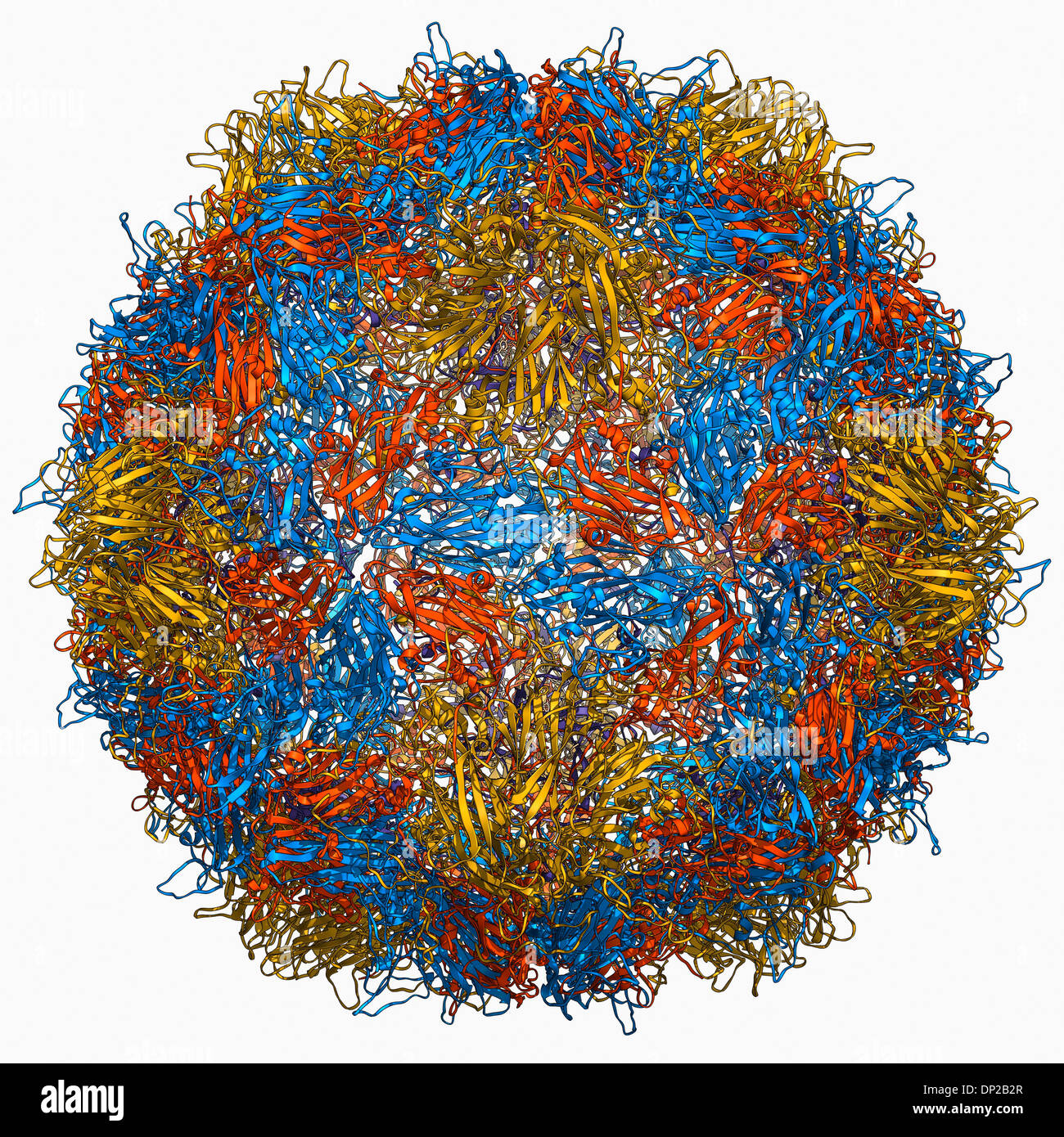 Le poliovirus de type 3, le modèle moléculaire de la capside Banque D'Images