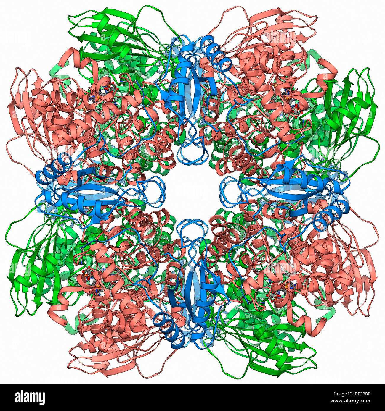 Photosynthesis artwork Banque de photographies et d’images à haute ...