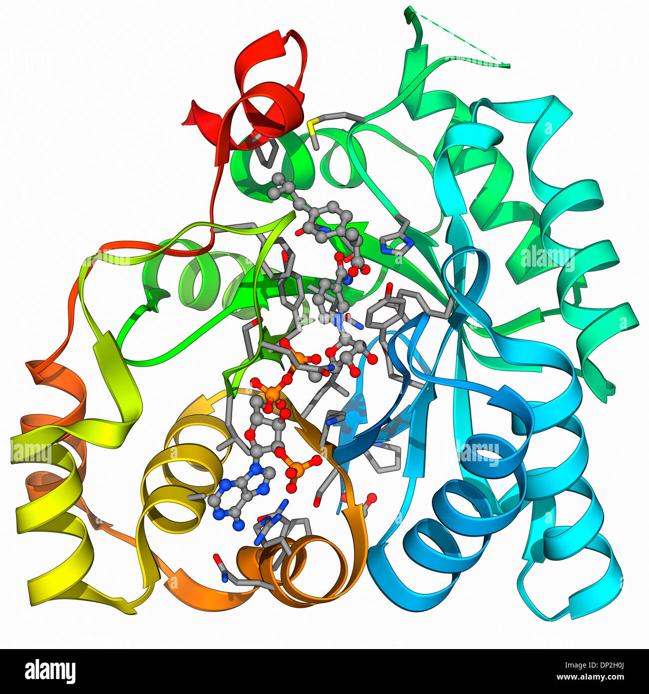 Aldo-céto réductase enzyme et de l'ibuprofène Banque D'Images