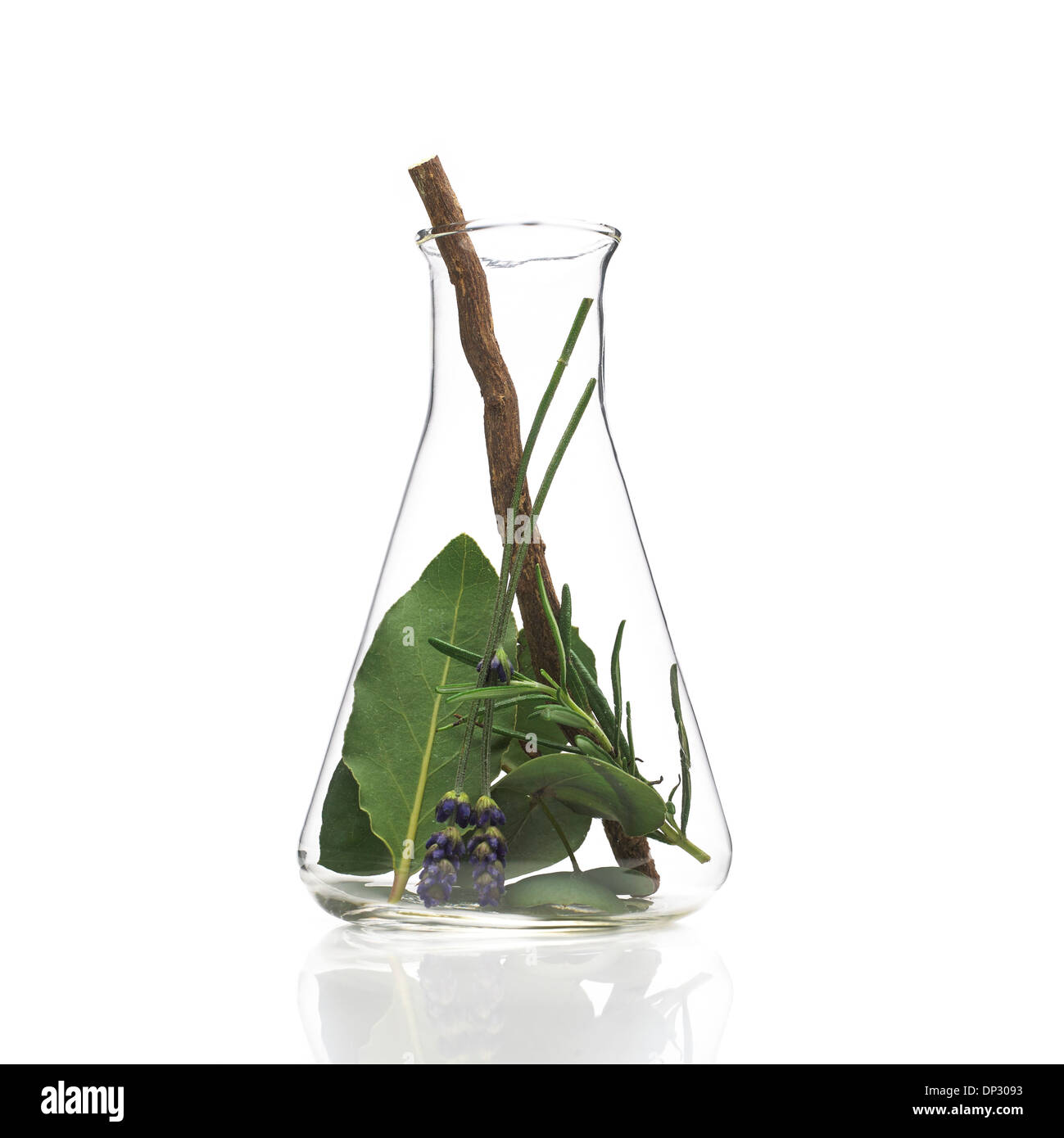Plantes médicinales, conceptual image Banque D'Images