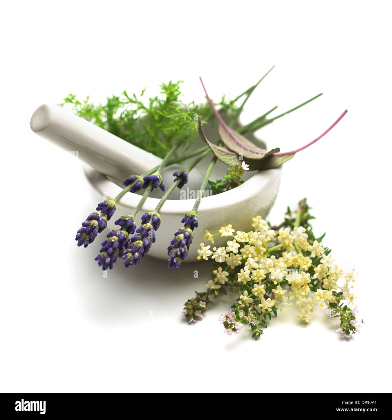 Plantes médicinales, conceptual image Banque D'Images