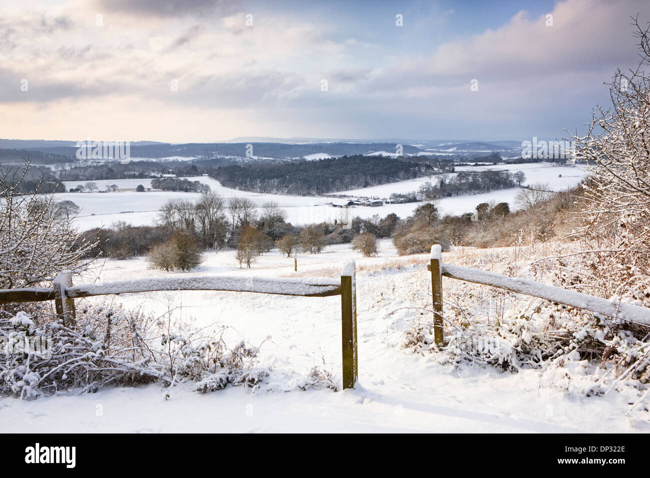 Chute de neige fraîche couvrant le paysage de Surrey à Newlands Corner Banque D'Images