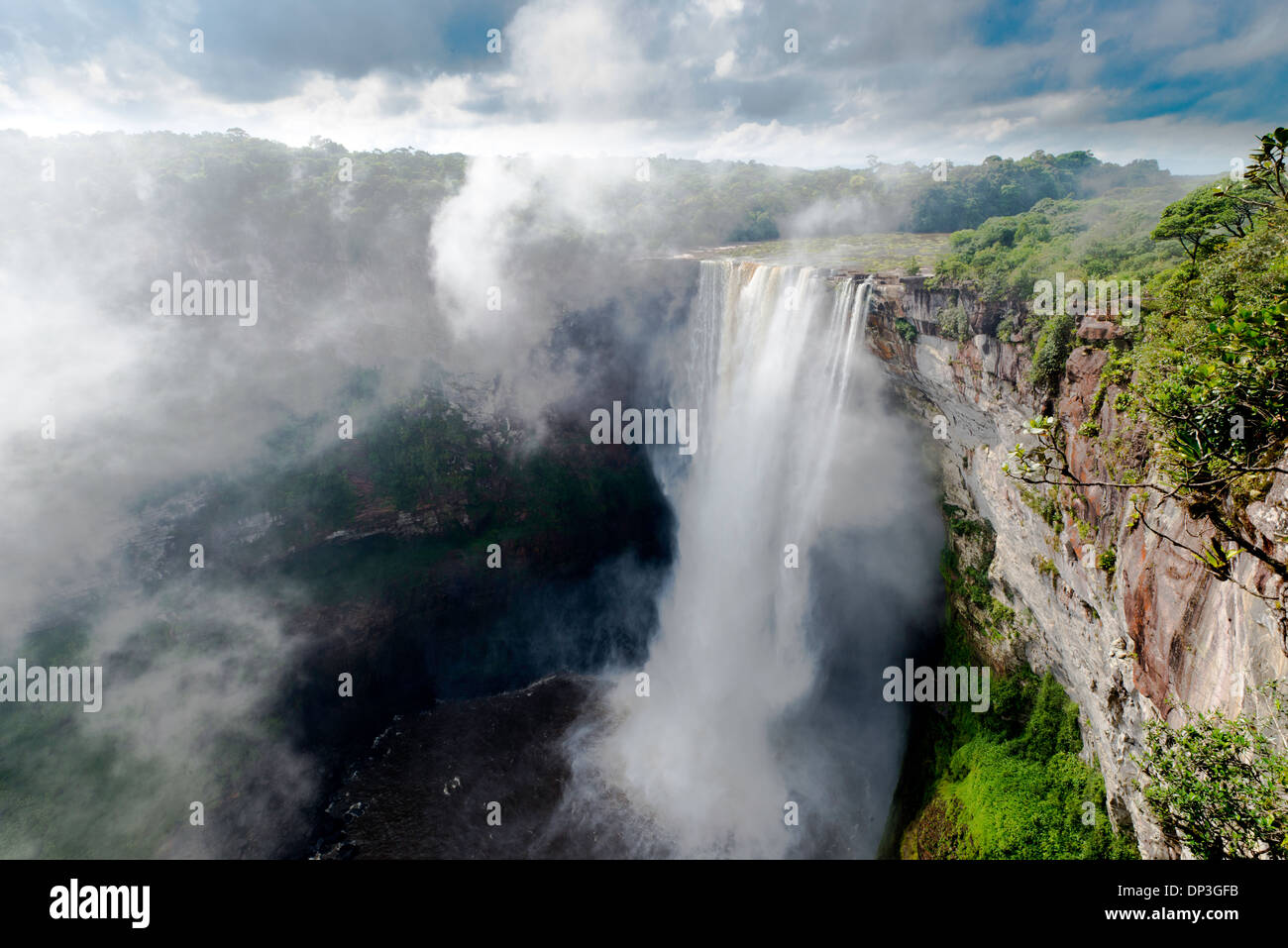 Kaieteur Falls, Kaieteur National Park, le Guyana, la pomme de terre, la rivière combine volume énorme de l'eau avec 822 pieds Banque D'Images
