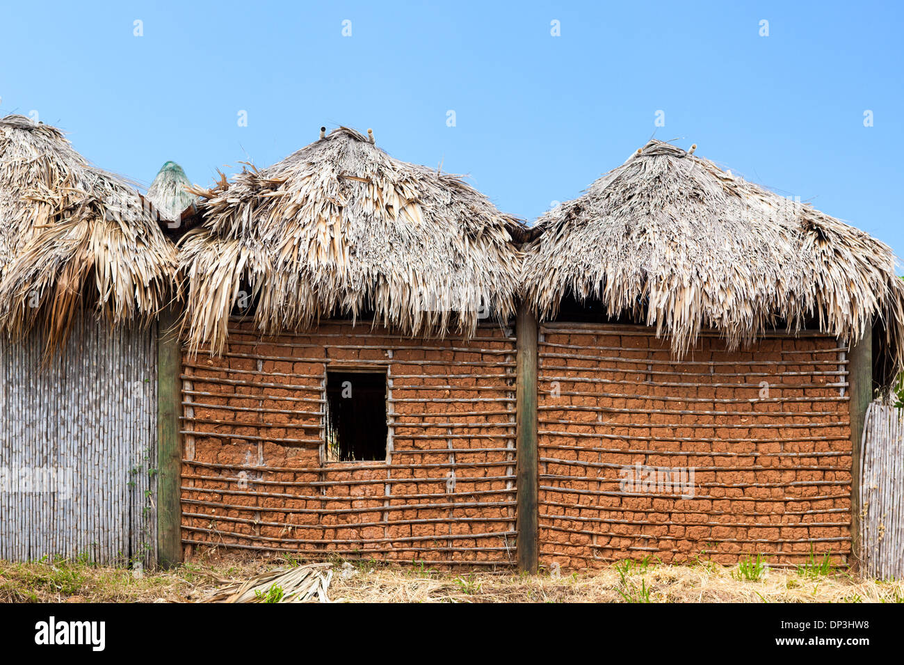 Maison traditionnelle de boue Garifuna avec toit de chaume Banque D'Images