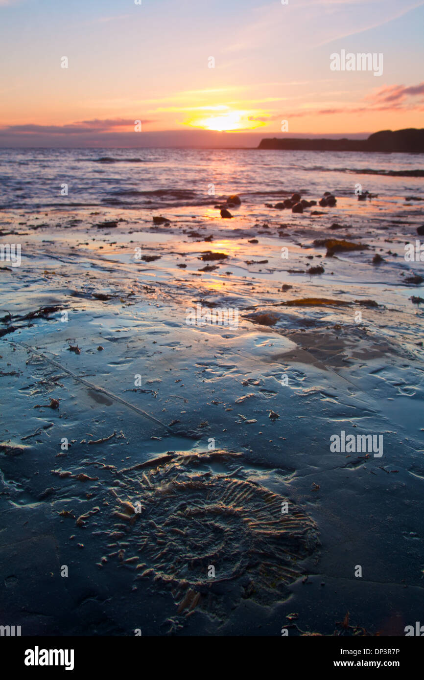 Coucher de soleil sur la baie de Kimmeridge en ammonite, Dorset Banque D'Images
