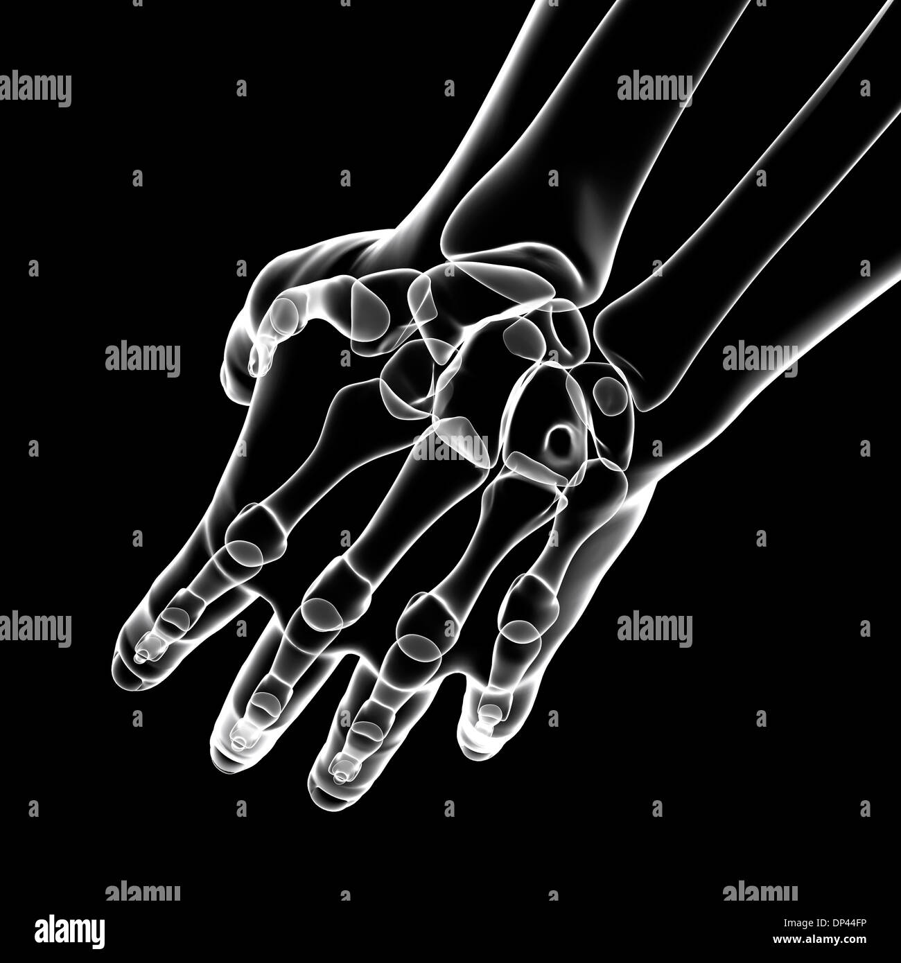 La main de l'Anatomy, artwork Banque D'Images