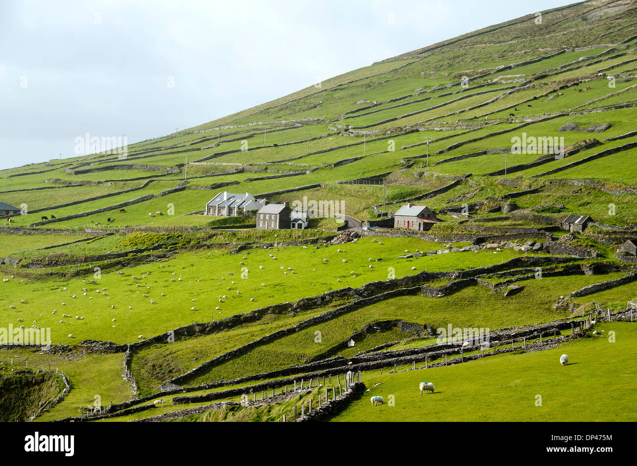 Slea Head Drive avec maisons en pierre, Peninusla Dingle, Irlande. Banque D'Images