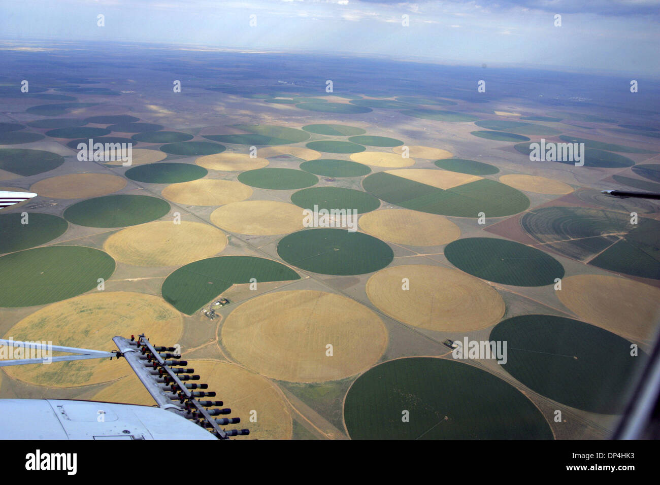 Aug 12, 2006 ; Dumas, TX, USA ; centre-pivot des exploitations irriguées sont vus Mercredi, Juillet 26, 2006 plus de Dallam Comté dans le Texas Panhandle. L'avènement de l'irragation à pivot central de l'énergie combinée à une demande de précision (LEPA), qui s'applique l'eau plus près du sol et réduit les pertes par évaporation, a permis d'améliorer les rendements agricoles avec moins d'eau utilisée que par le passé. Estimation d Banque D'Images