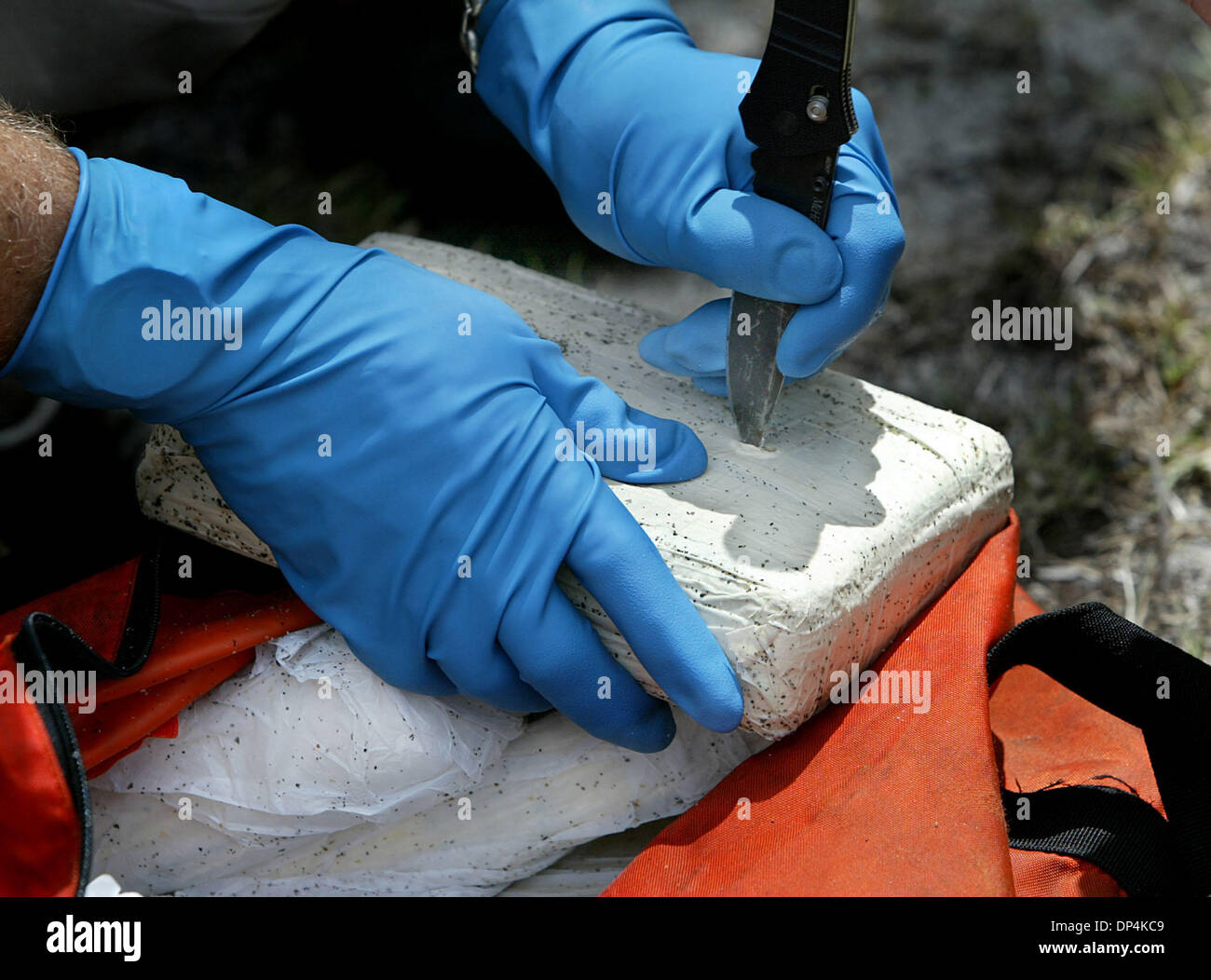 Aug 16, 2006 ; Jupiter Island, Floride, USA ; UN U.S. Customs and Border Protection coupes agent ouvrir un kilo de cocaïne à tester après le sac a été dissimulés dans des buissons le long de la A1A. Le test a été positif pour la cocaïne et le sac contenait six kilos. U.S. Customs and Border Protection a trouvé deux Haïtiens débarquer sur les rives près de Jupiter Island à environ 2:50 h le mercredi. Ils ont dit qu'ils sont venus d'Amérique Banque D'Images