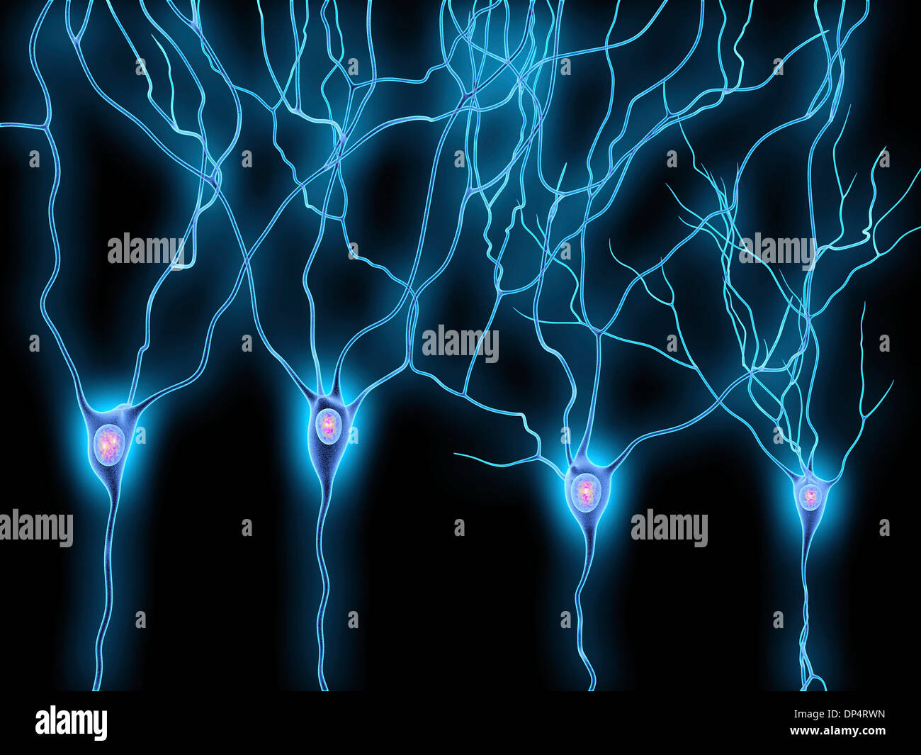 Les cellules nerveuses, artwork Banque D'Images