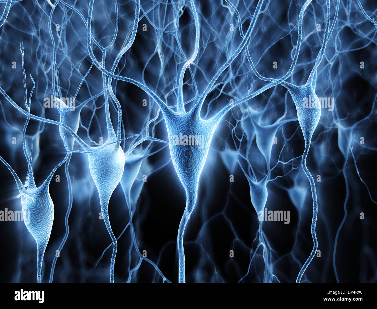 Les cellules nerveuses, artwork Banque D'Images