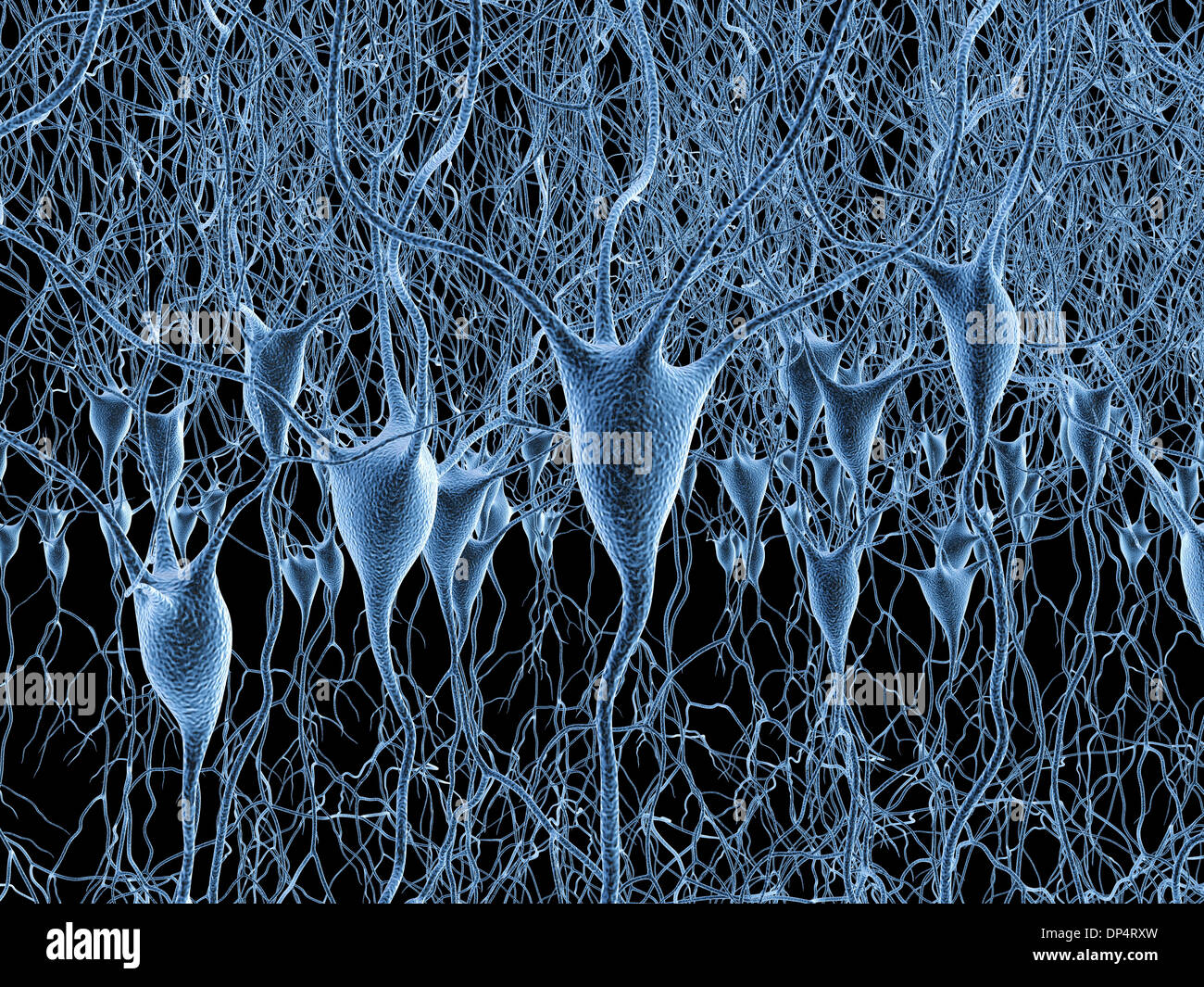 Les cellules nerveuses, artwork Banque D'Images
