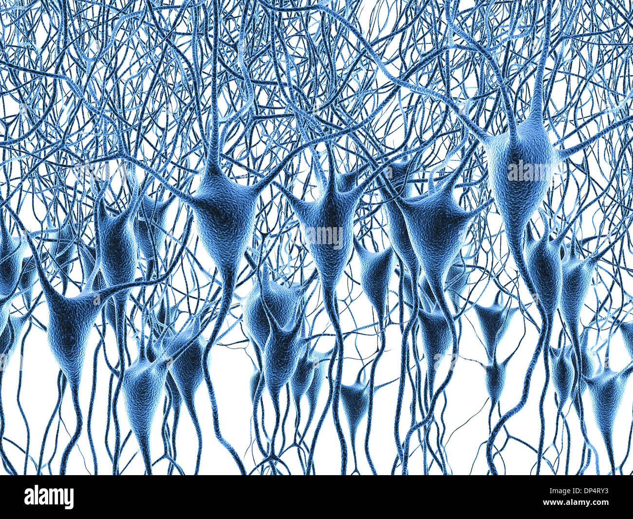 Les cellules nerveuses, artwork Banque D'Images