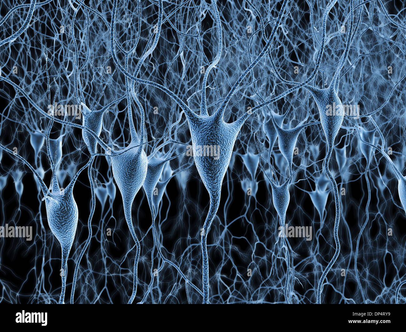 Les cellules nerveuses, artwork Banque D'Images
