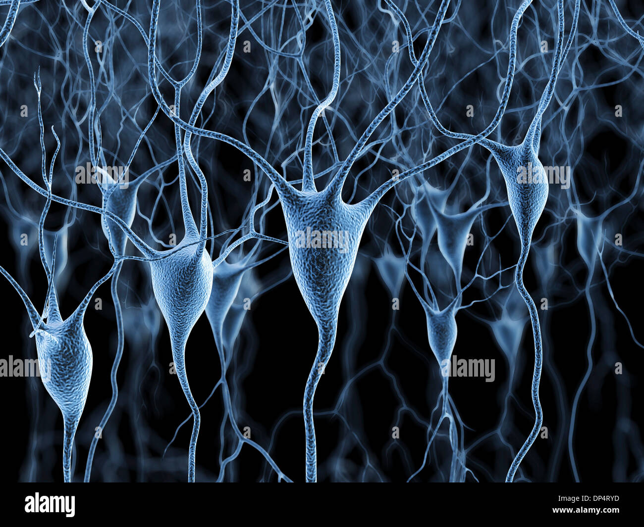 Les cellules nerveuses, artwork Banque D'Images