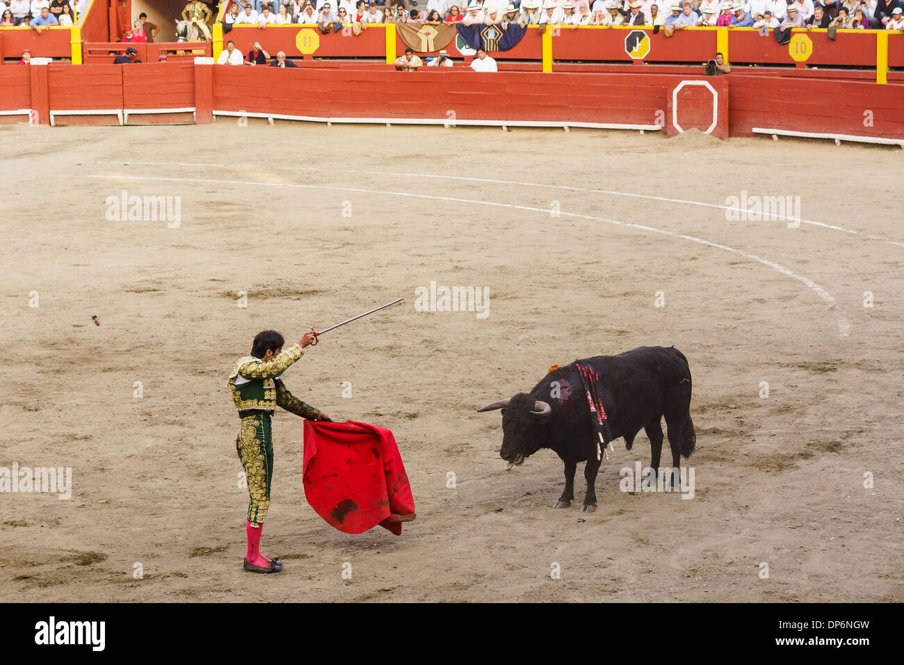 Feria Señor de los Milagros à la Plaza de Acho à Lima au Pérou . 6 taureaux de San Sebastian de las Palmas Hacienda. Banque D'Images