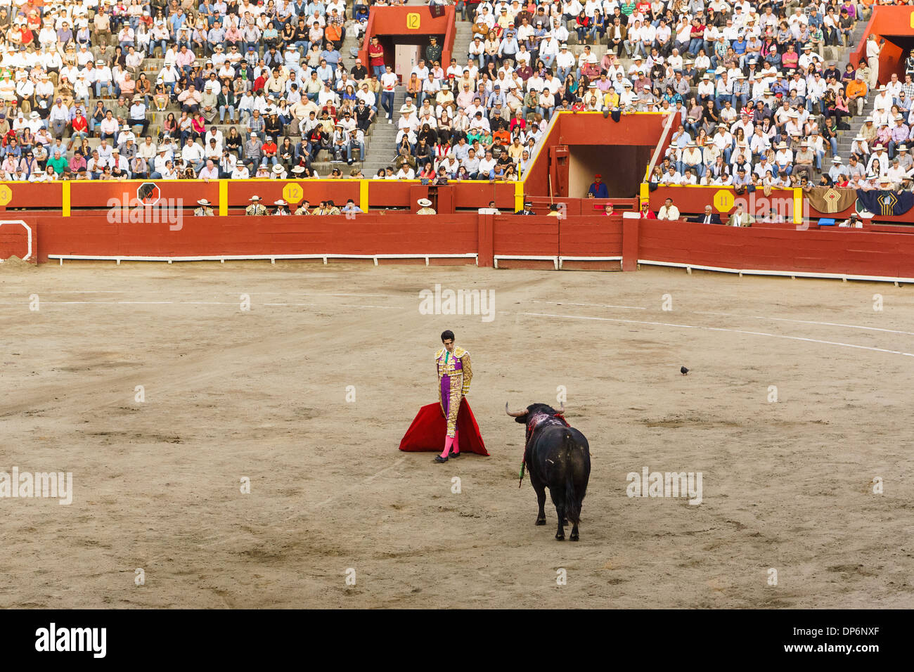 Feria Señor de los Milagros à la Plaza de Acho à Lima au Pérou . 6 taureaux de San Sebastian de las Palmas Hacienda. Banque D'Images