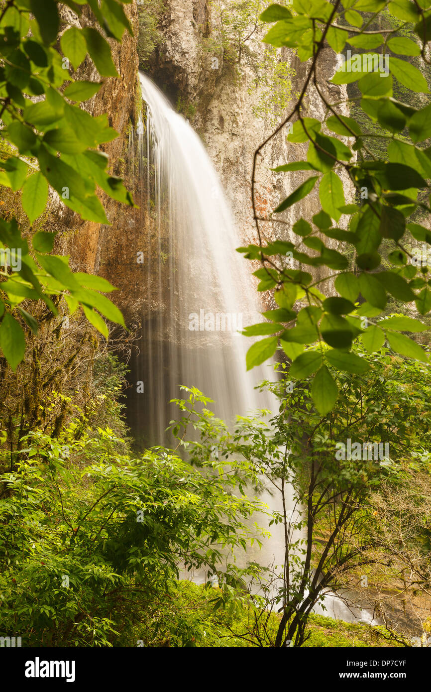 Les gorges de Kakouetta, Sainte Engrâce, Pyrénées, France, Europe, Aquitanie : Banque D'Images