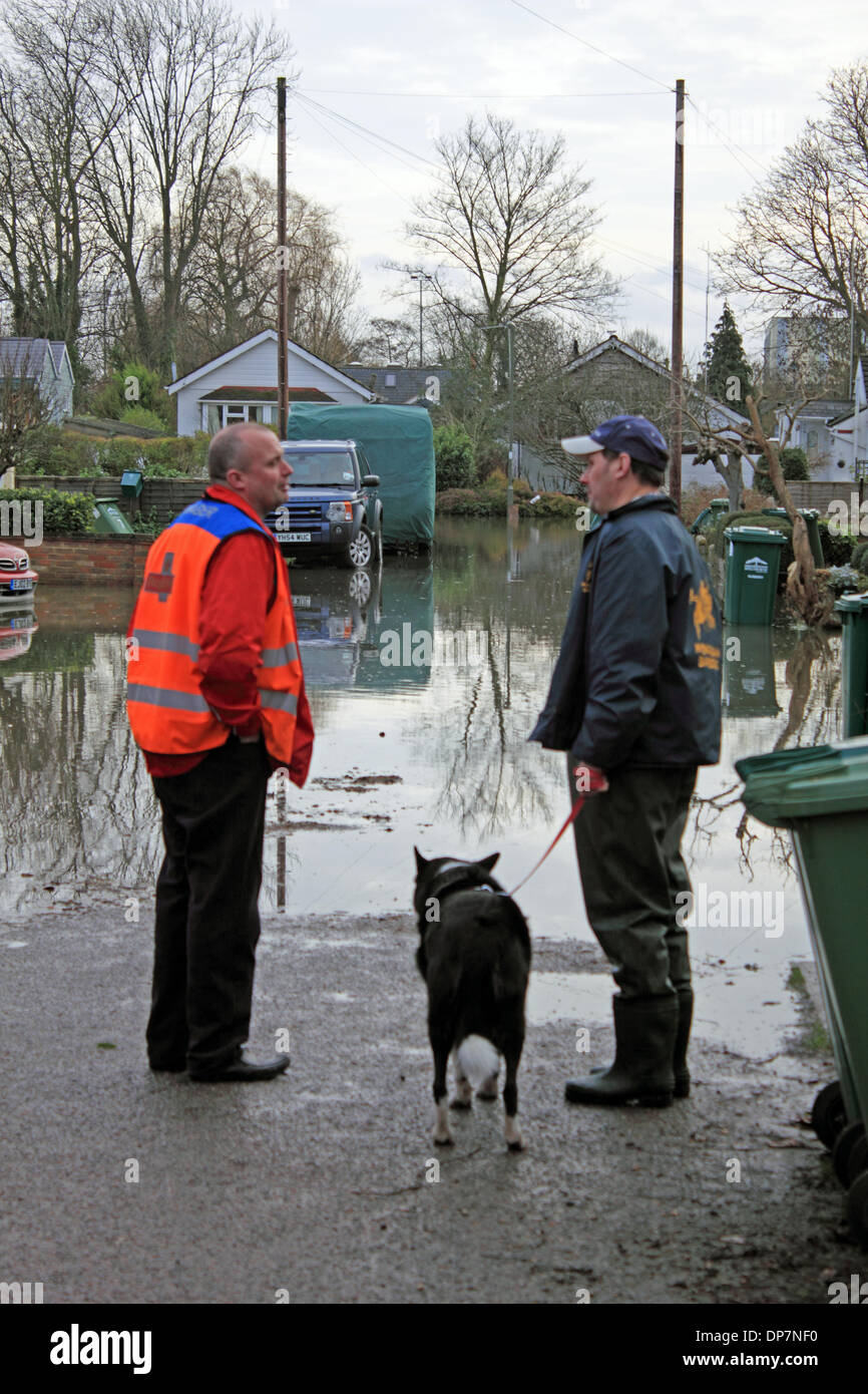 Willow Way, Sunbury-on-Thames, Surrey, Angleterre, Royaume-Uni. 8 janvier 2014. Comme le mauvais temps continue d'apporter de fortes pluies dans l'ensemble de l'Angleterre la Tamise a inondé à Lower Sunbury. L'Agence de l'Environnement a publié plus d'avertissements d'inondations pour la Tamise ce soir de Staines à Hampton Court. Un employé de la Royal Mail traite du problème de l'accès à la rue avec un résident de l'endroit où aujourd'hui, la montée des eaux avait maisons inondées à Willow. Credit : Julia Gavin/Alamy Live News Banque D'Images