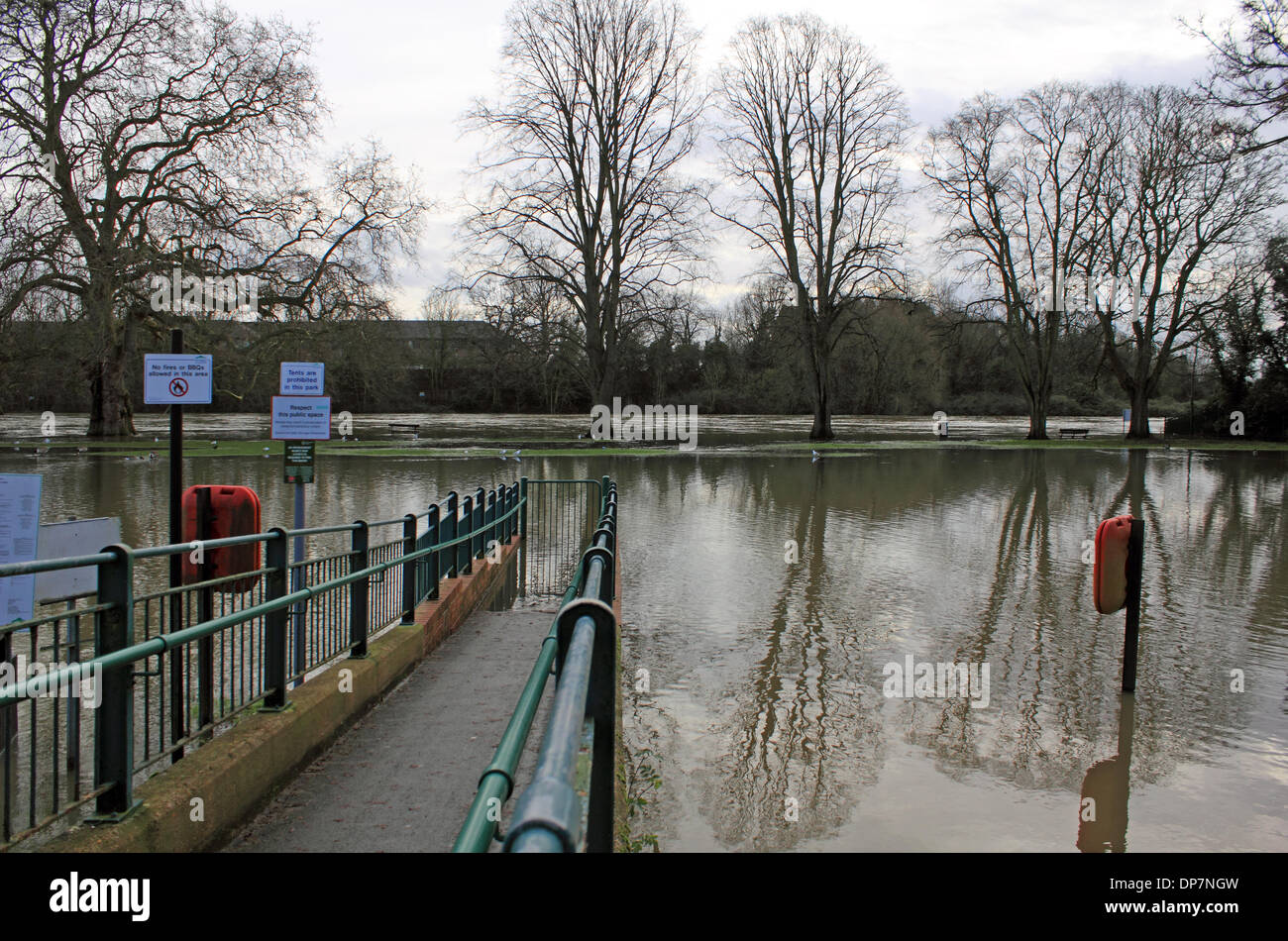 Sunbury-on-Thames, Surrey, Angleterre, Royaume-Uni. 8 janvier 2014. Comme le mauvais temps continue d'apporter de fortes pluies dans l'ensemble de l'Angleterre la Tamise a inondé à Lower Sunbury. Ici, la passerelle de la rue Thames sur l'île de Rivermead disparaît dans les eaux de crue. L'Agence de l'Environnement a publié plus d'avertissements d'inondations pour la Tamise ce soir de Staines à Hampton Court. Credit : Julia Gavin/Alamy Live News Banque D'Images