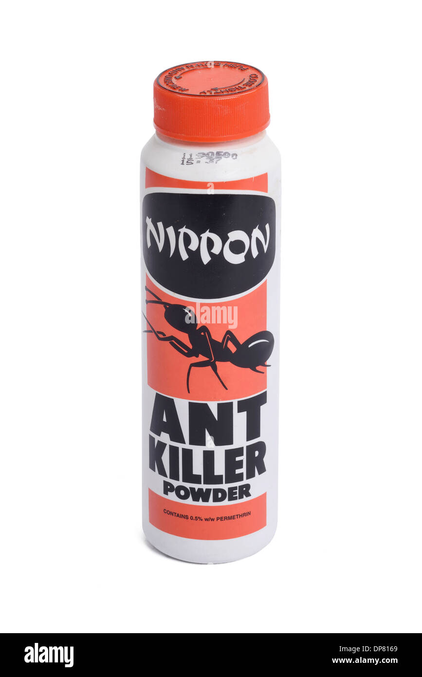 Récipient en plastique de Nippon Poudre Killer Ant Banque D'Images