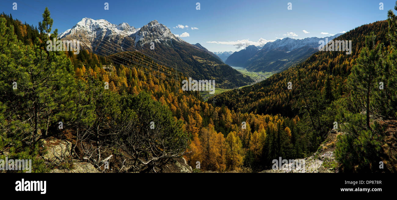 Paysage de forêt dans les Alpes Suisses Banque D'Images