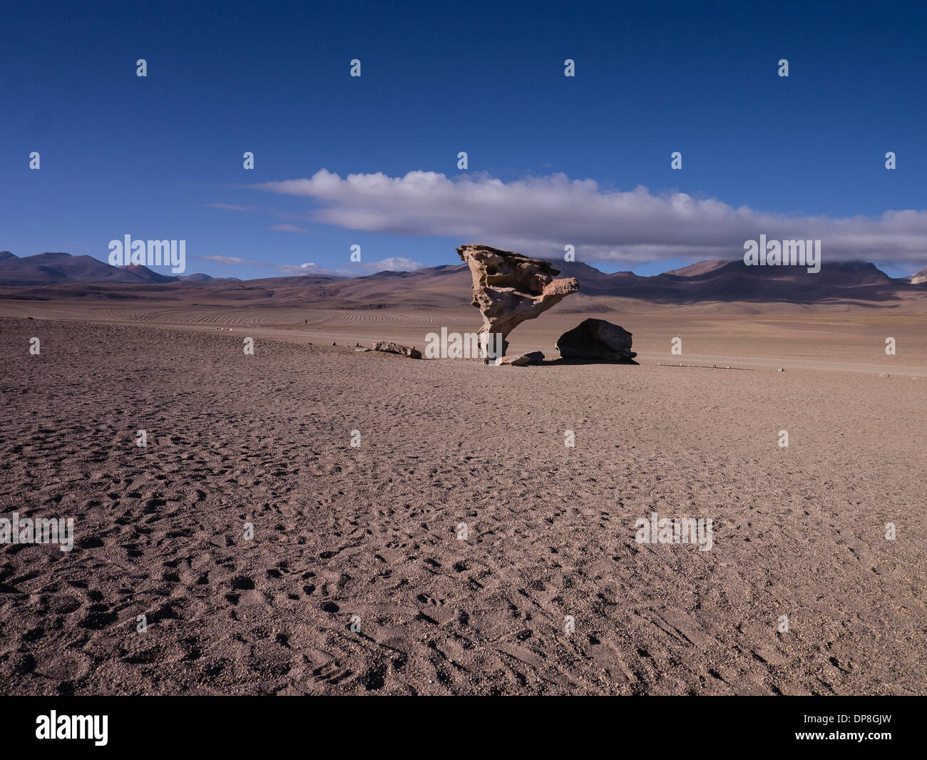 Arbre généalogique de pierre comme il est connu, en espagnol árbol de Piedra, est situé dans une région éloignée de la Bolivie près de la frontière avec le Chili. Banque D'Images