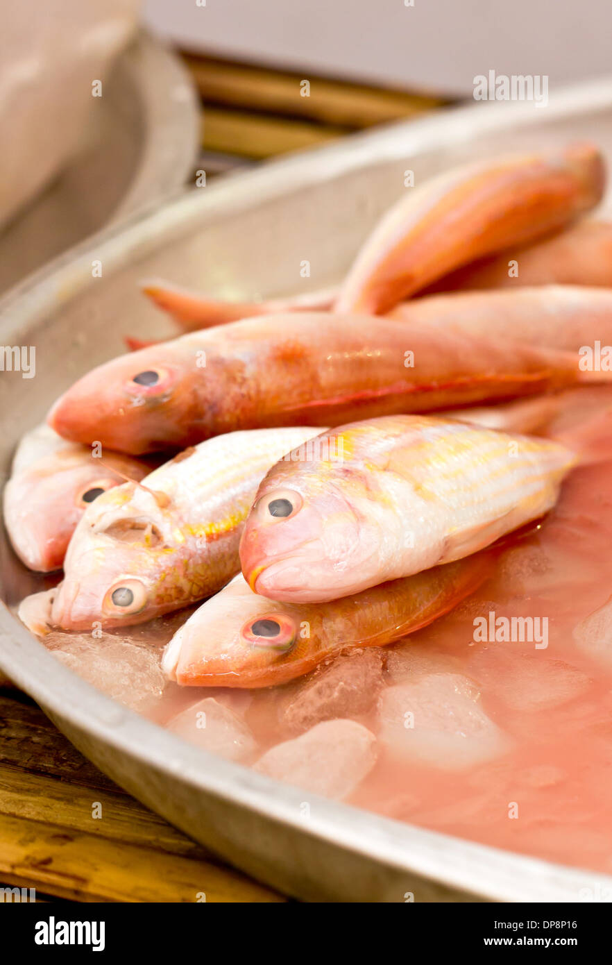 Ornate threadfin bream poisson dans le marché. Banque D'Images