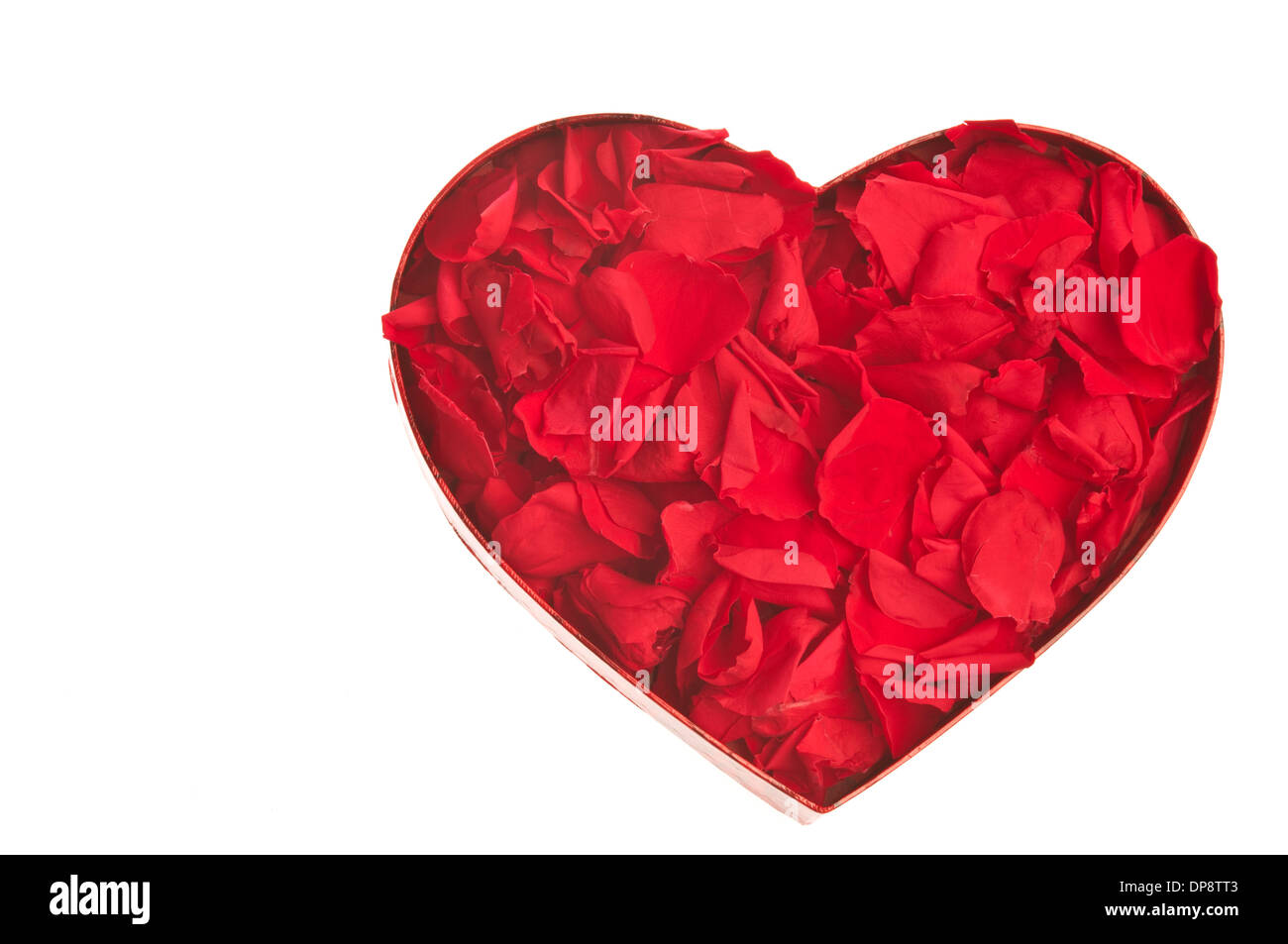 Valentine heart shaped box avec des pétales de rose rouge, de l'amour concept Banque D'Images