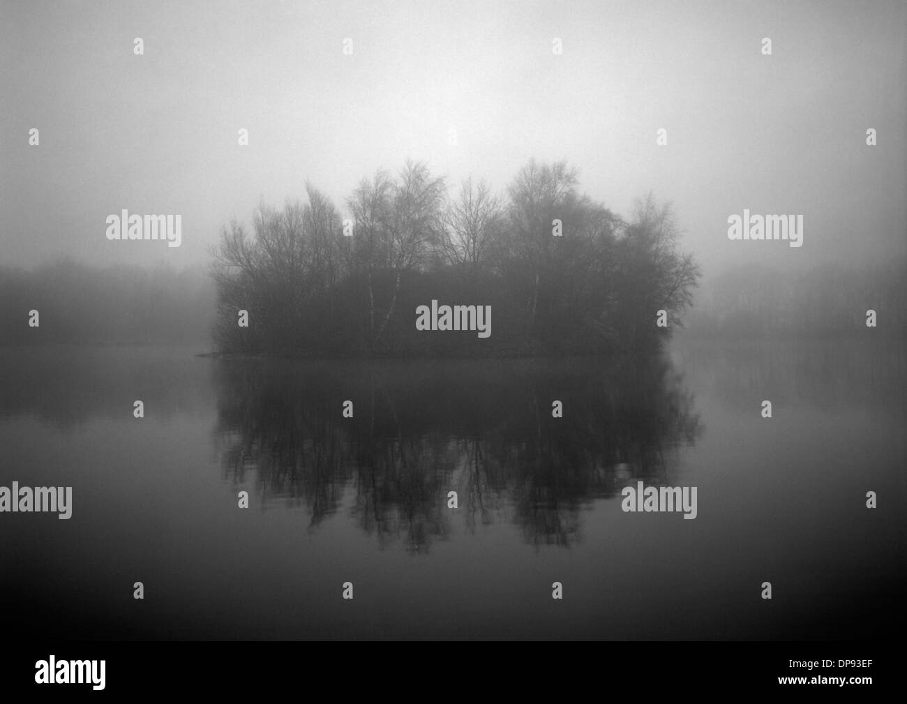 Au milieu de l'île, le lac brumeux. Banque D'Images