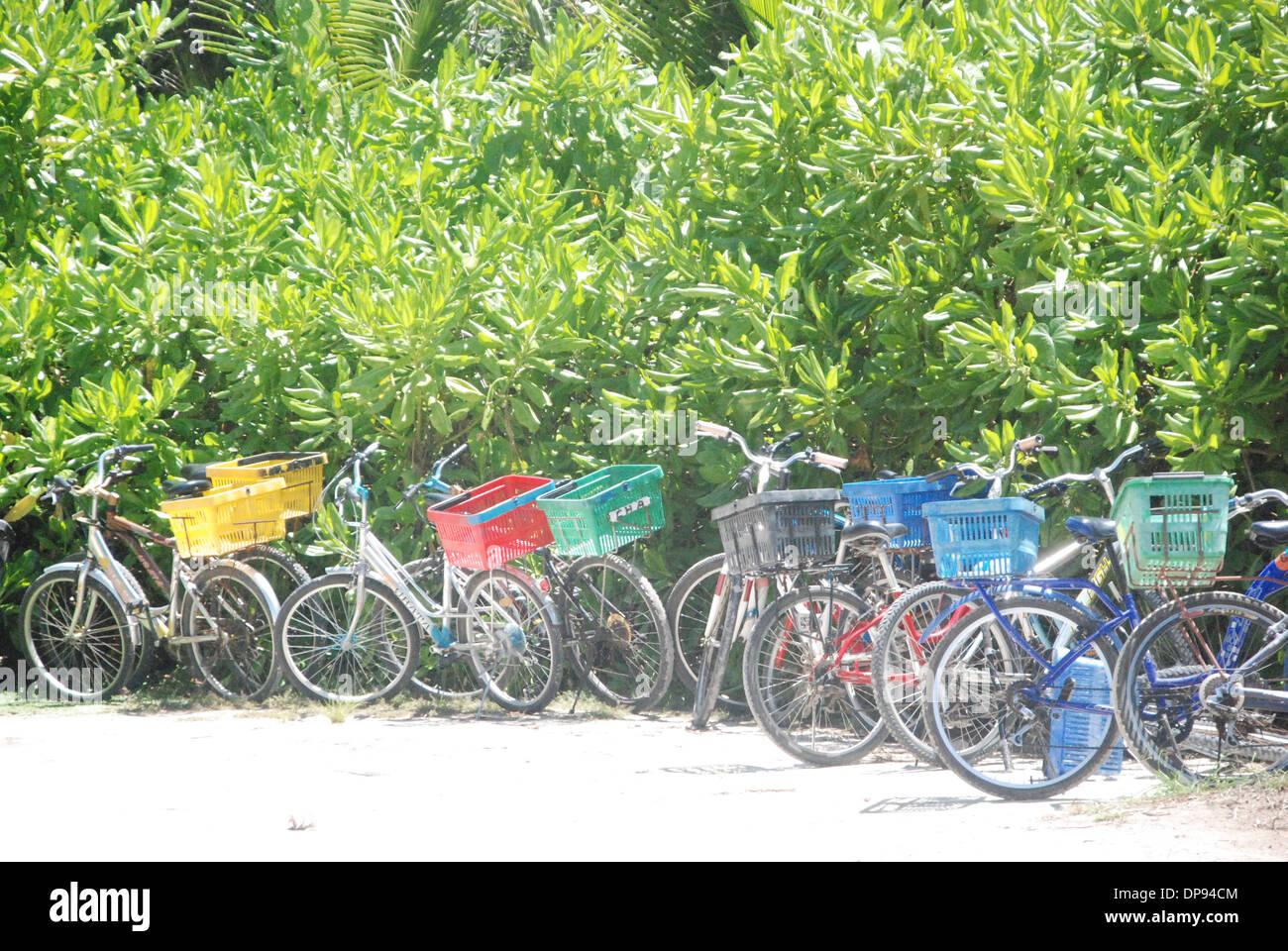 Des vélos colorés en stationnement sur une plage Banque D'Images