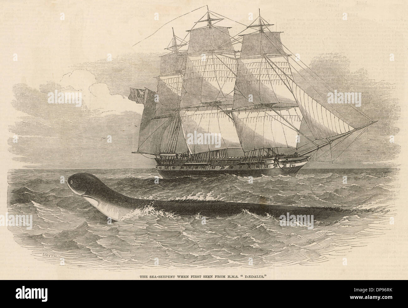 DAEDALUS Serpent de mer Banque D'Images