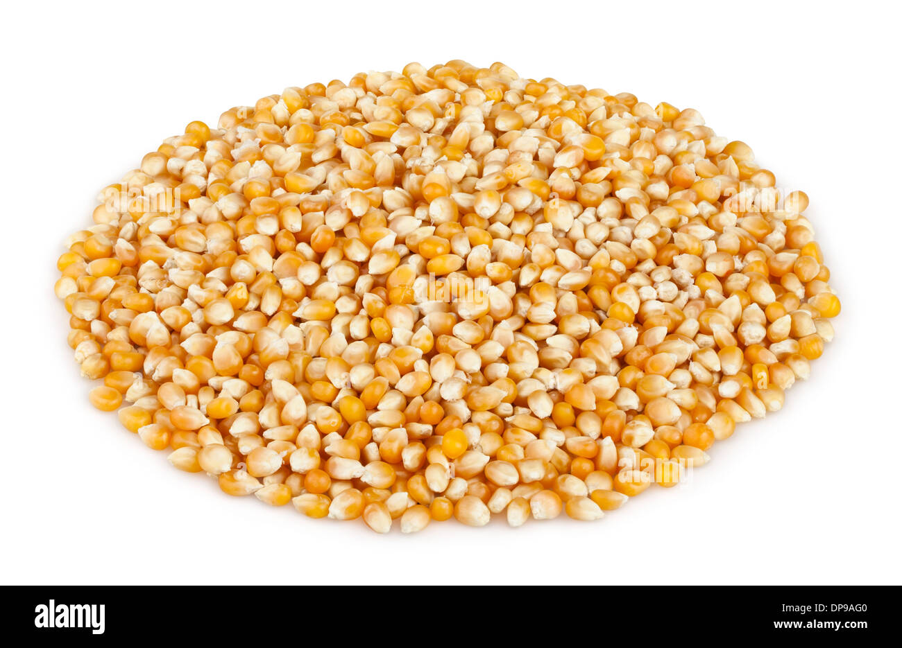 Grains de maïs sec heap isolated on white Banque D'Images