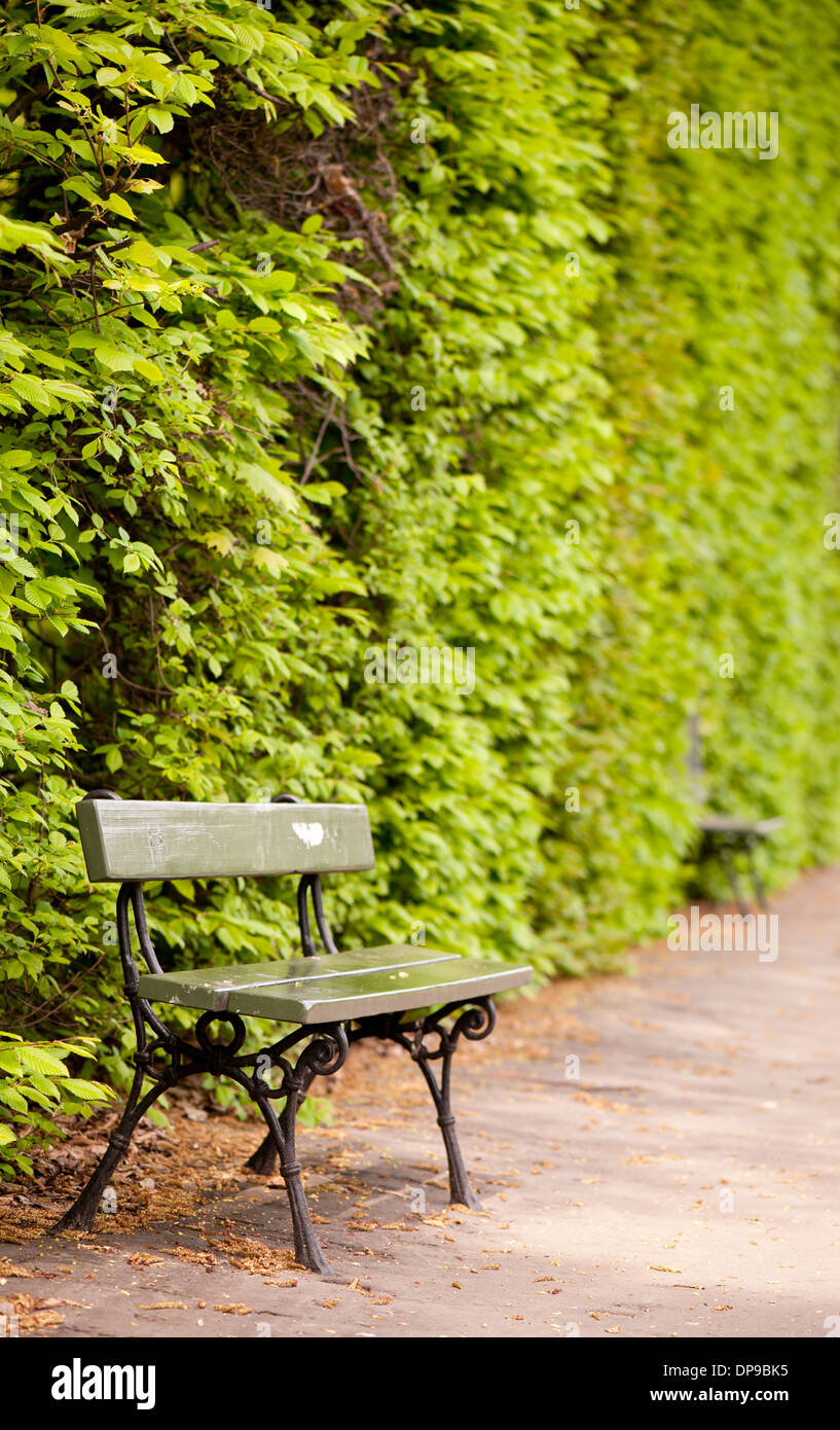 Haie et banc vide dans le Parc de Wilanów Banque D'Images