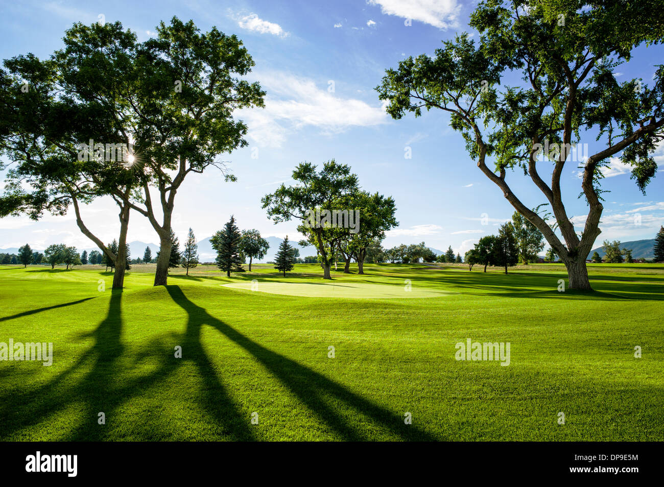 Vue en contre-jour de la fin de l'après-midi la lumière sur neuf trous luxuriante Salida, Colorado, Terrain de Golf Banque D'Images