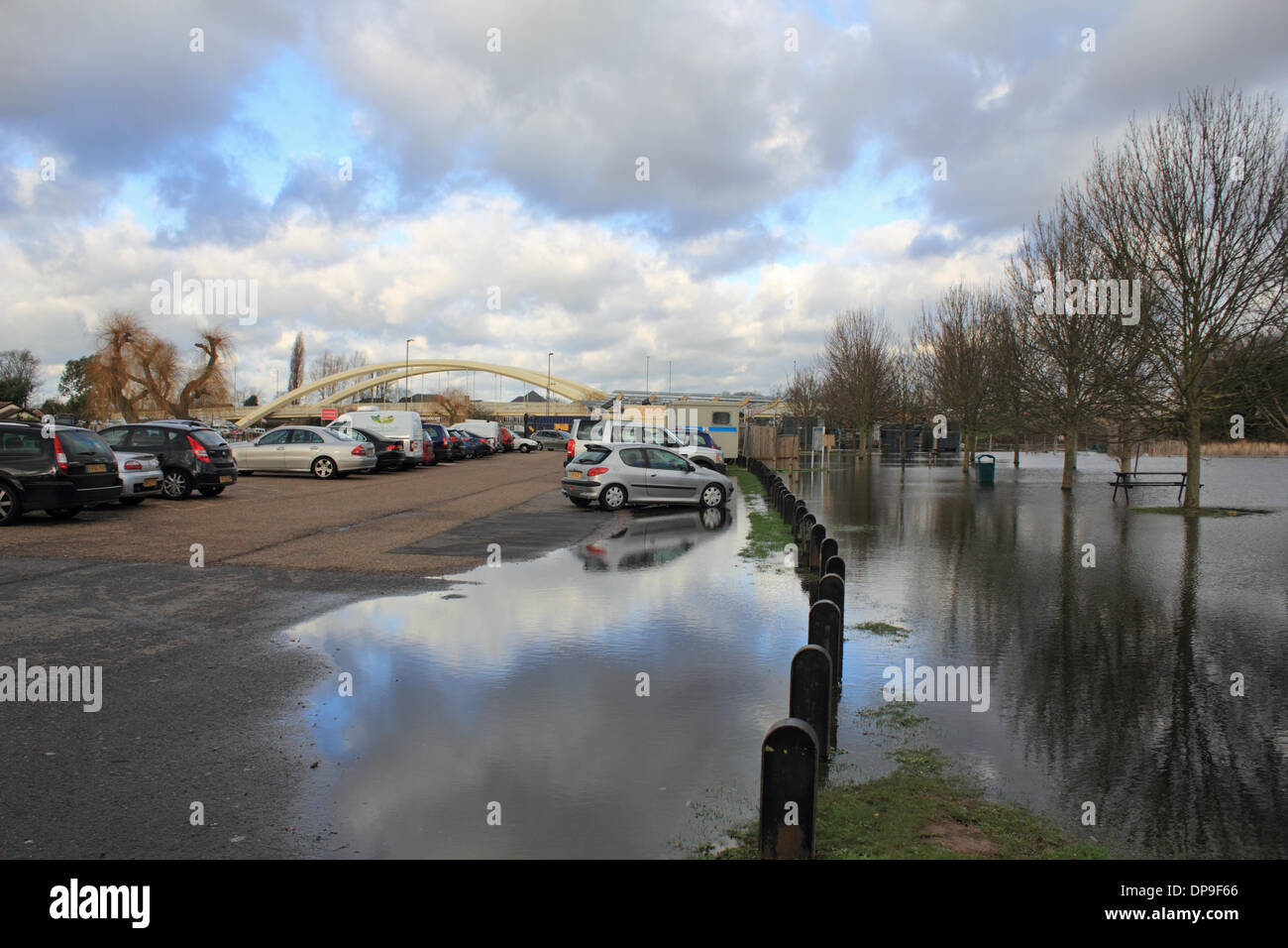 Walton-on-Thames, Surrey, Angleterre, Royaume-Uni. 9 janvier 2014. La Tamise a inondé à l'ensemble de Walton Lane et dans le parking et aire de pique-nique à côté de Walton Bridge. Credit : Julia Gavin/Alamy Live News Banque D'Images