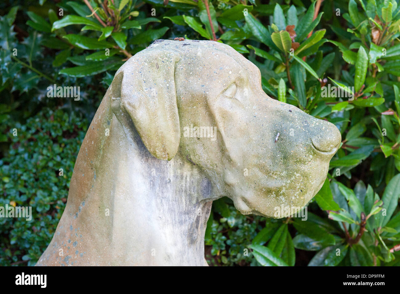 Statue en pierre de grand chien Bloodhound Ornement de jardin Banque D'Images Statue en pierre de grand chien Bloodhound Ornement de jardin Banque D'Images