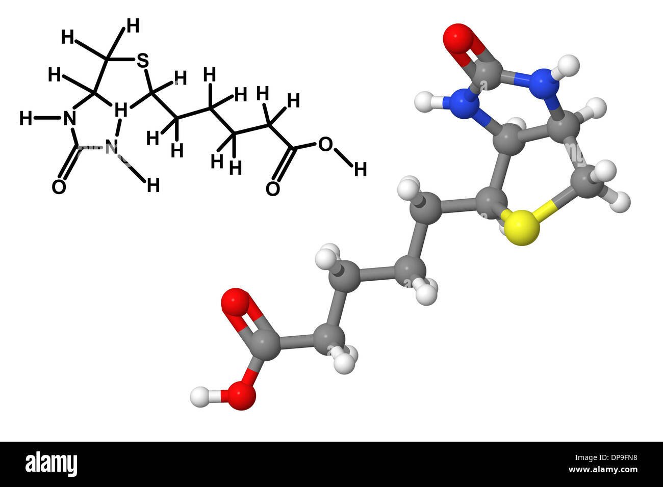 La vitamine B7 (biotine, vitamine H, coenzyme R) molécule avec formule chimique isolé sur fond blanc Banque D'Images