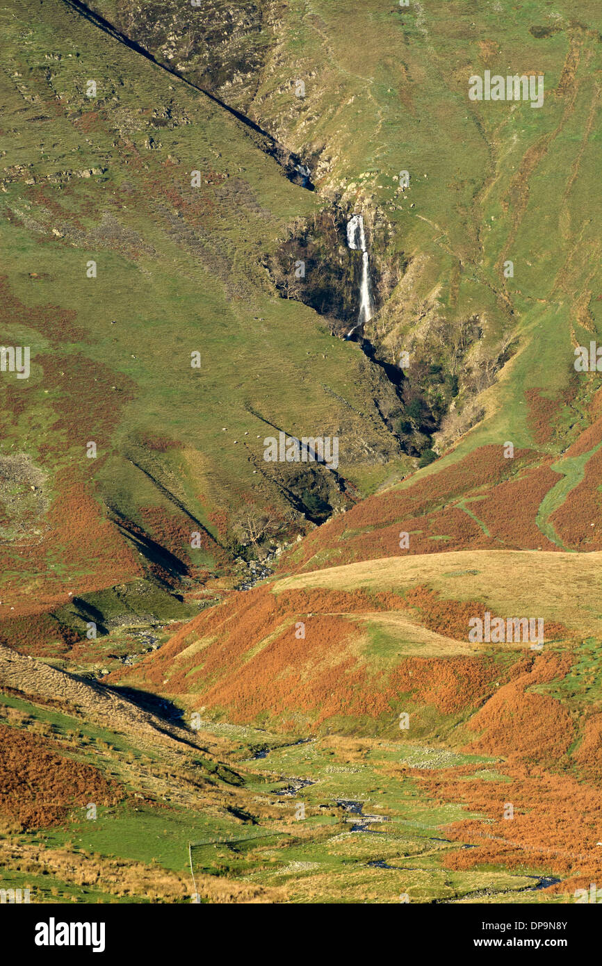 Dans la tuyère d'Cautley Fells Cap Sud, près de Sedbergh, Cumbria. Banque D'Images