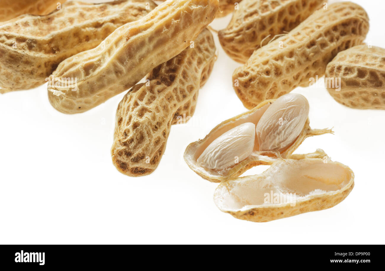 Arachides bouillies Gros plan sur fond blanc Banque D'Images