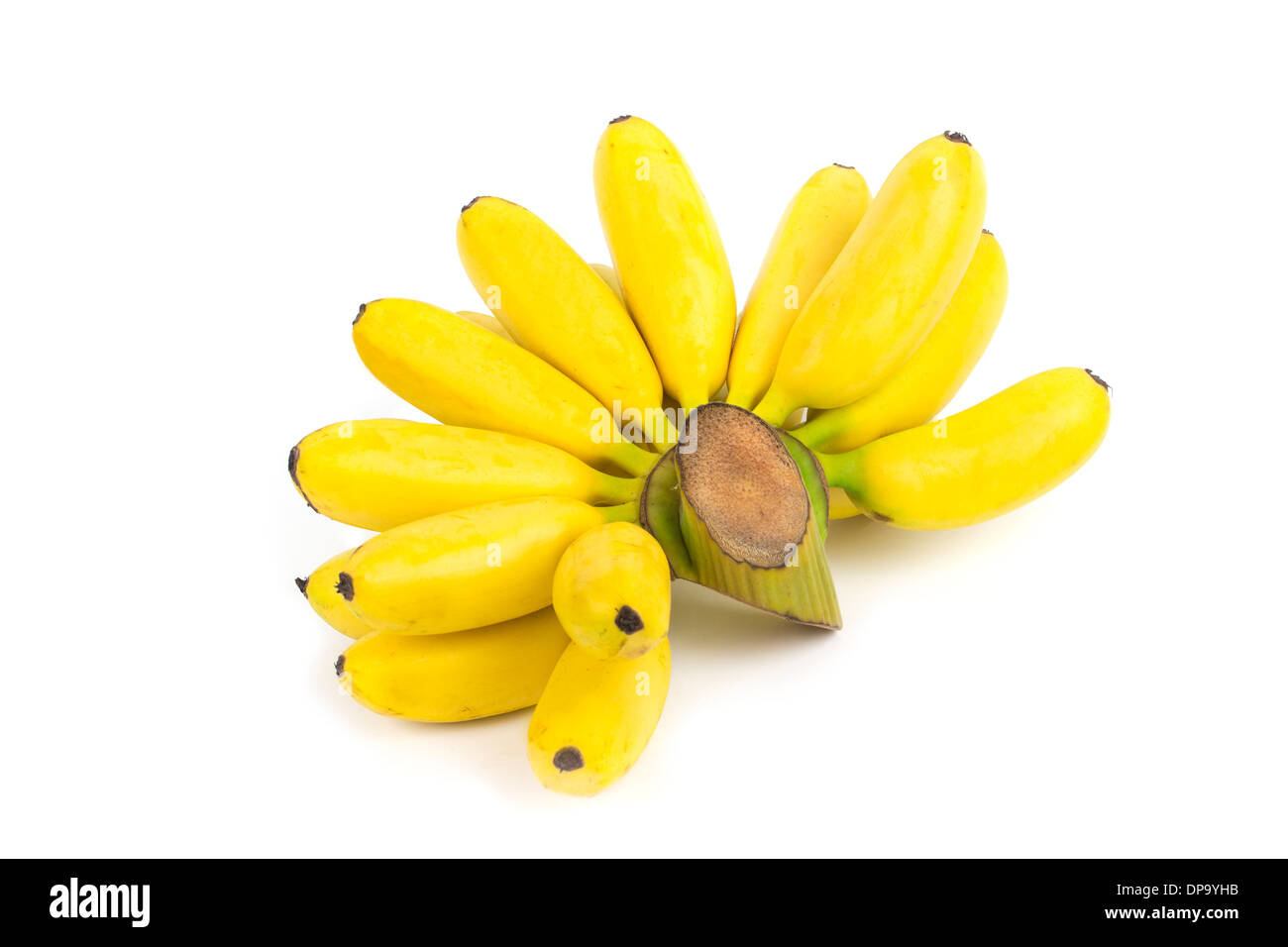 Régime de bananes mûres sur fond blanc Banque D'Images